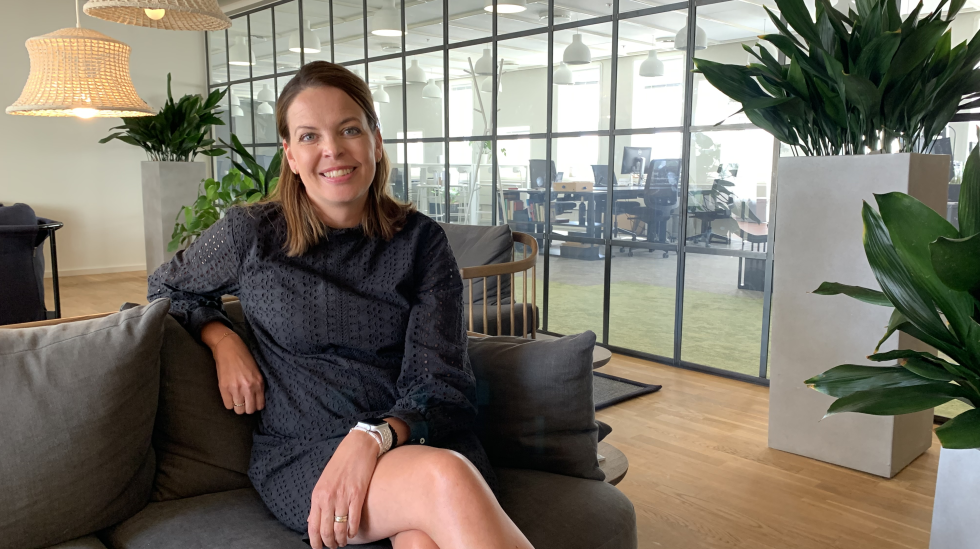Artikel top billede