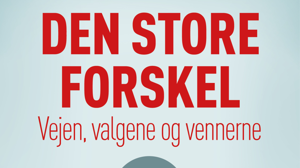 Artikel top billede