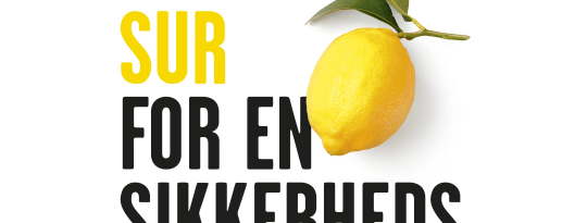 Artikel top billede