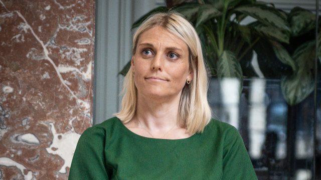 Artikel teaser billede