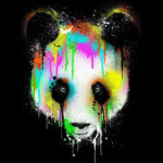 Avatar billede