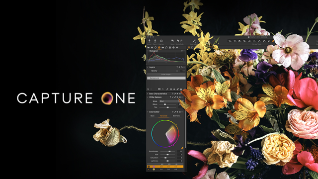 Artikel teaser billede