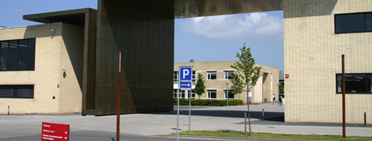 Artikel top billede