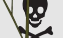 Artikel teaser billede