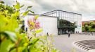 Syddansk Universitet