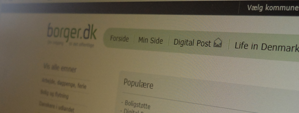 Artikel top billede