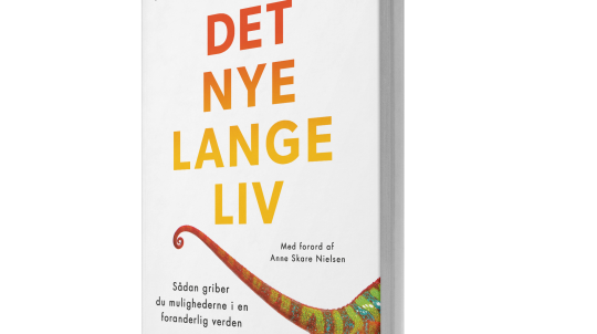 Artikel top billede