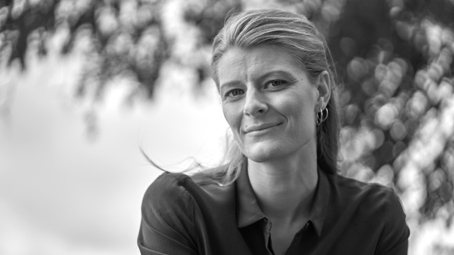 Artikel teaser billede