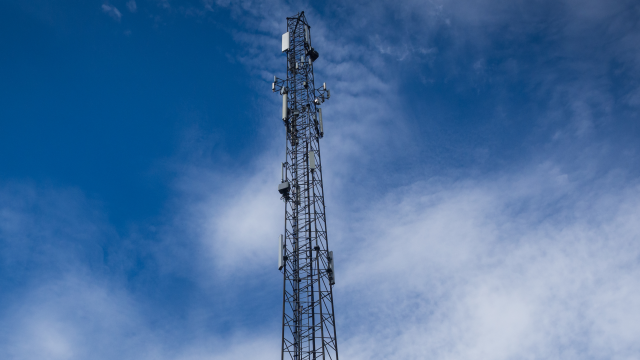 Artikel teaser billede