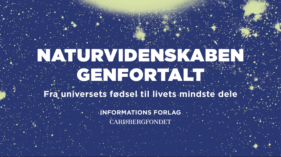 Artikel top billede