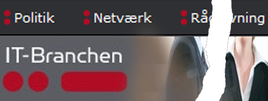 Artikel top billede