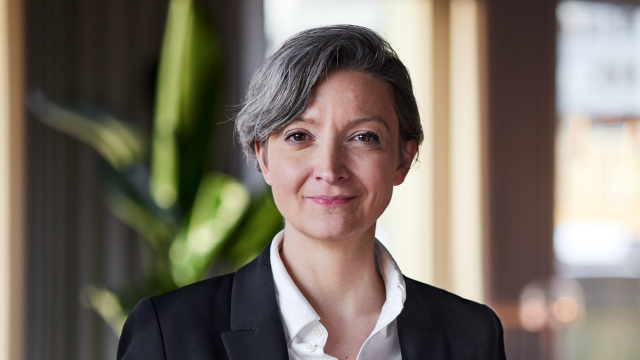 Artikel teaser billede