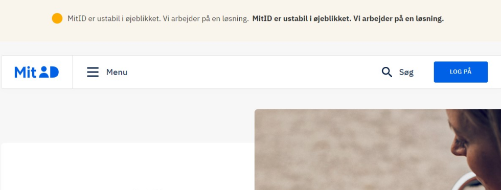 Artikel top billede