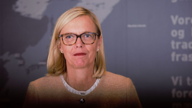 Artikel teaser billede