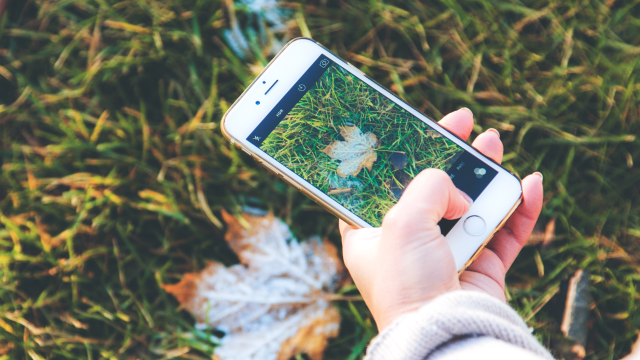 Artikel teaser billede