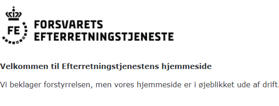 Artikel top billede