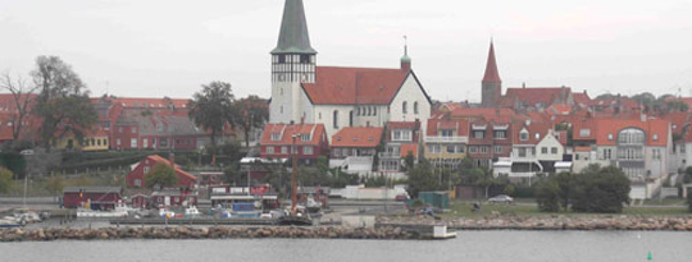 Artikel top billede