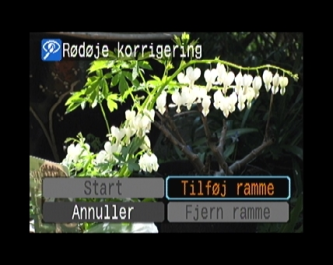 Artikel billede