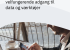 Whitepaper billede