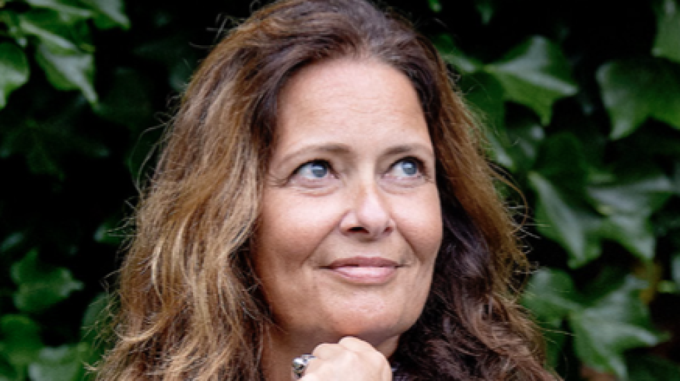 Artikel top billede