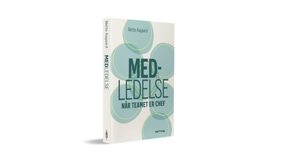Artikel top billede