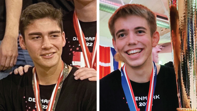 Artikel teaser billede