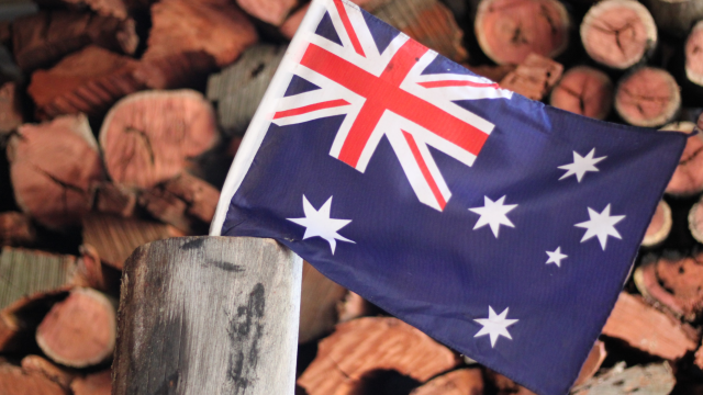 Artikel teaser billede