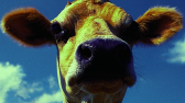 Artikel teaser billede