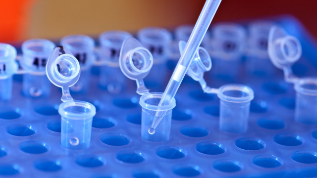 Artikel teaser billede