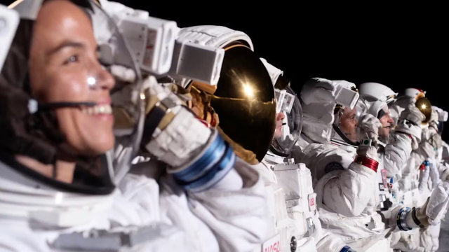 Artikel teaser billede