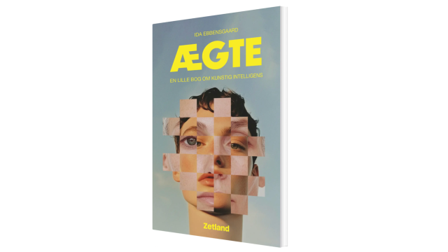 Artikel teaser billede