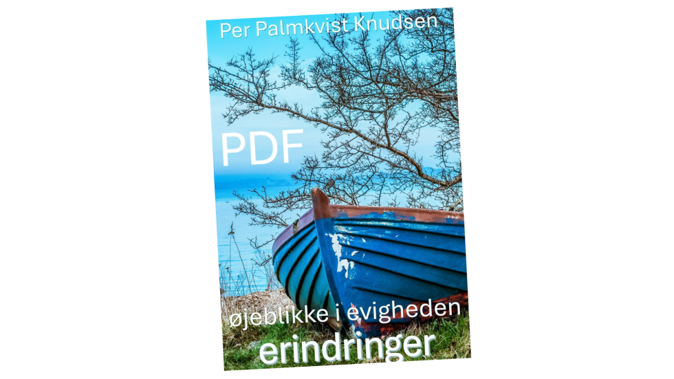 Artikel top billede