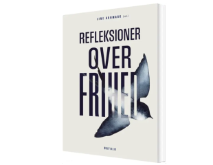 Artikel teaser billede