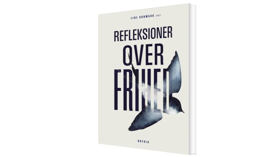 Artikel top billede