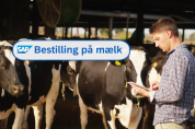 Artikel teaser billede