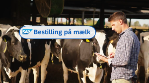 Artikel teaser billede