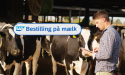 Artikel teaser billede
