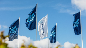 Artikel teaser billede
