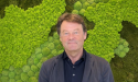 Artikel teaser billede
