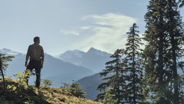 Artikel teaser billede