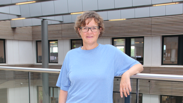 Artikel teaser billede