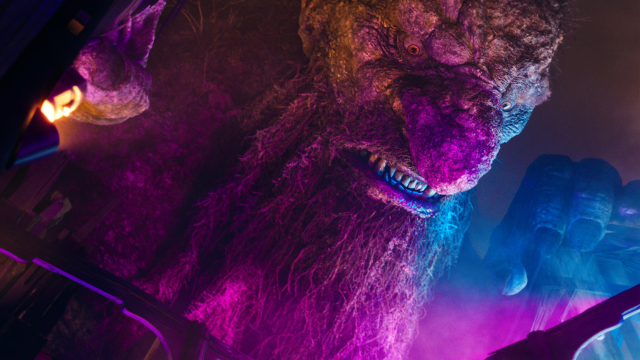 Artikel teaser billede