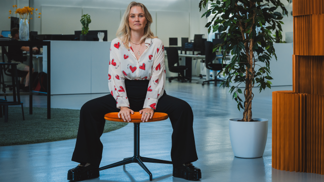 Artikel teaser billede