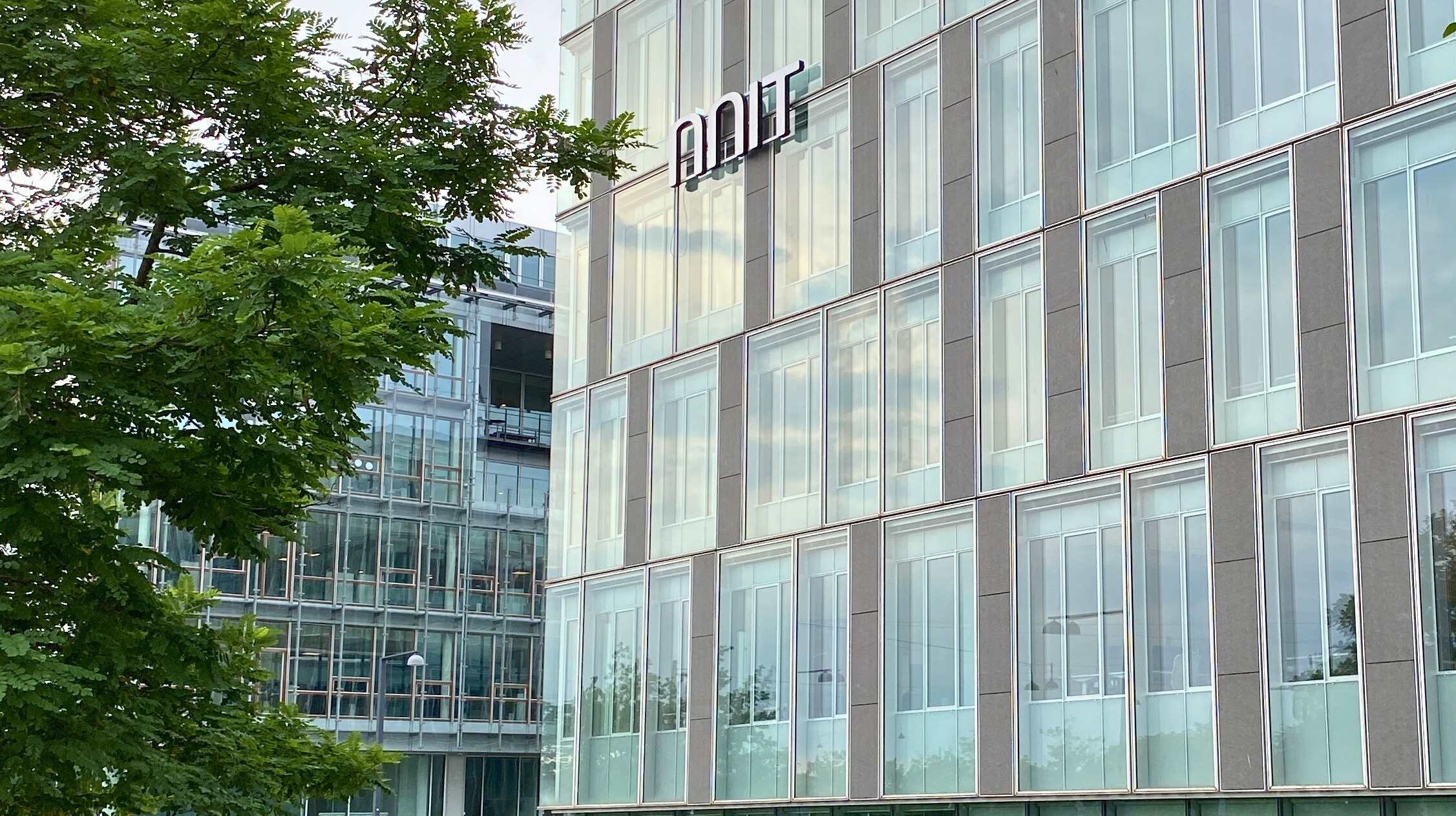 Artikel billede