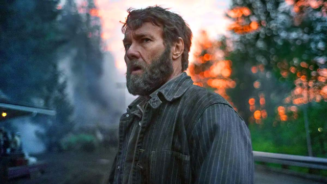 Artikel teaser billede