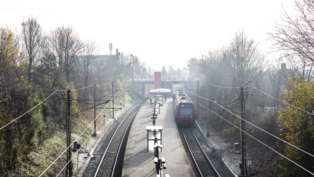 Artikel teaser billede