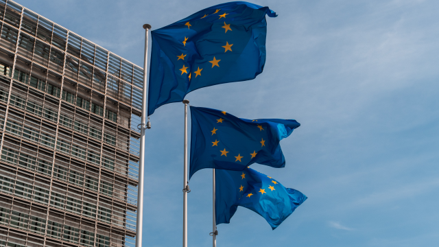 Artikel teaser billede