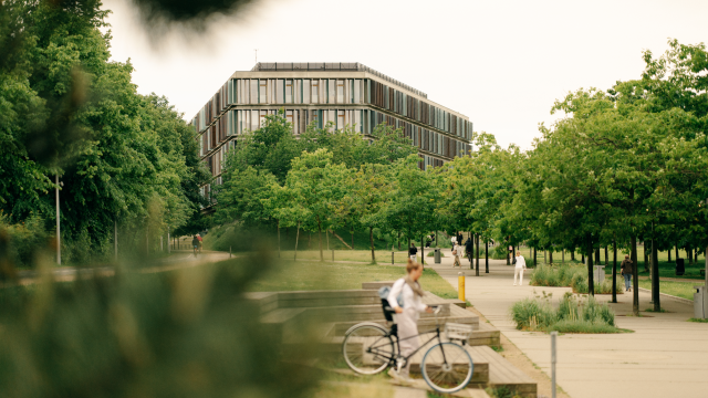 Artikel teaser billede