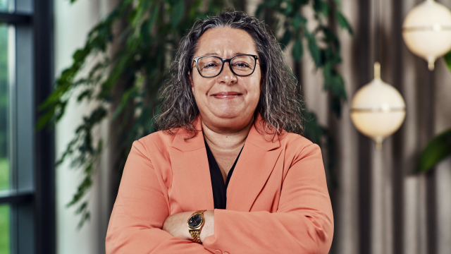 Artikel teaser billede