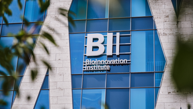 Artikel teaser billede